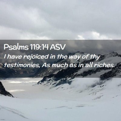 Picture 02 - Psalms 119:14 ASV - I have rejoiced in the way of thy testimonies, As - Bible Verse Picture