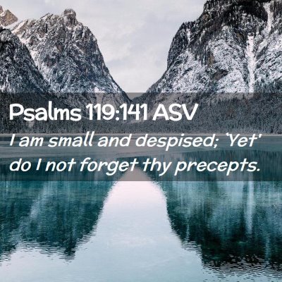 Picture 02 - Psalms 119:141 ASV - I am small and despised; `Yet' do I not forget - Bible Verse Picture