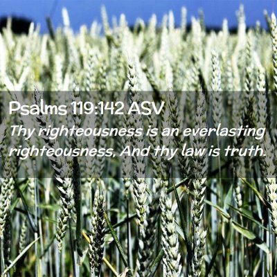 Picture 02 - Psalms 119:142 ASV - Thy righteousness is an everlasting - Bible Verse Picture
