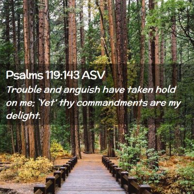 Picture 02 - Psalms 119:143 ASV - Trouble and anguish have taken hold on me; `Yet' - Bible Verse Picture