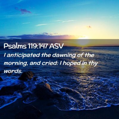 Picture 02 - Psalms 119:147 ASV - I anticipated the dawning of the morning, and - Bible Verse Picture