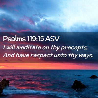 Picture 02 - Psalms 119:15 ASV - I will meditate on thy precepts, And have respect - Bible Verse Picture