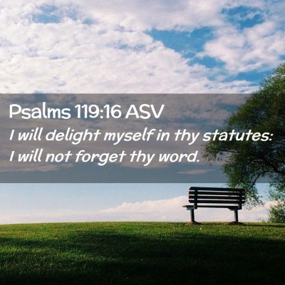 Picture 02 - Psalms 119:16 ASV - I will delight myself in thy statutes: I will not - Bible Verse Picture