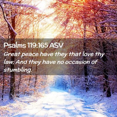 Picture 02 - Psalms 119:165 ASV - Great peace have they that love thy law; And they - Bible Verse Picture