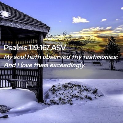 Picture 02 - Psalms 119:167 ASV - My soul hath observed thy testimonies; And I love - Bible Verse Picture