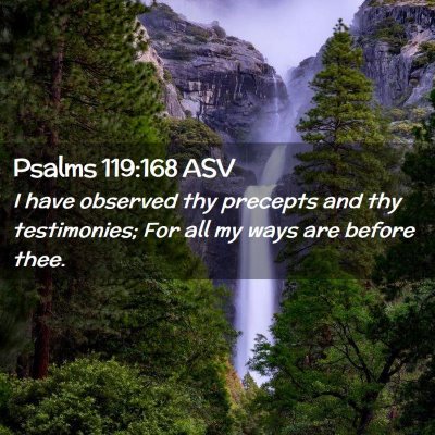 Picture 02 - Psalms 119:168 ASV - I have observed thy precepts and thy testimonies; - Bible Verse Picture