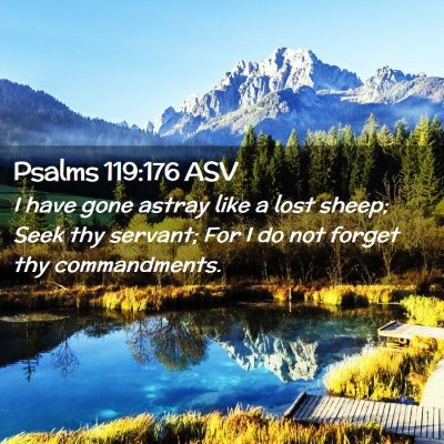 Picture 02 - Psalms 119:176 ASV - I have gone astray like a lost sheep; Seek thy - Bible Verse Picture