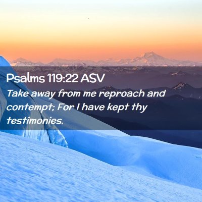 Picture 02 - Psalms 119:22 ASV - Take away from me reproach and contempt; For I - Bible Verse Picture