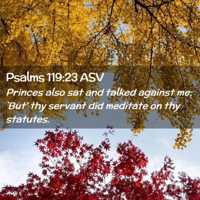 Picture 02 - Psalms 119:23 ASV - Princes also sat and talked against me; `But' thy - Bible Verse Picture