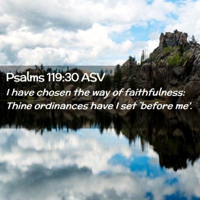Picture 02 - Psalms 119:30 ASV - I have chosen the way of faithfulness: Thine - Bible Verse Picture