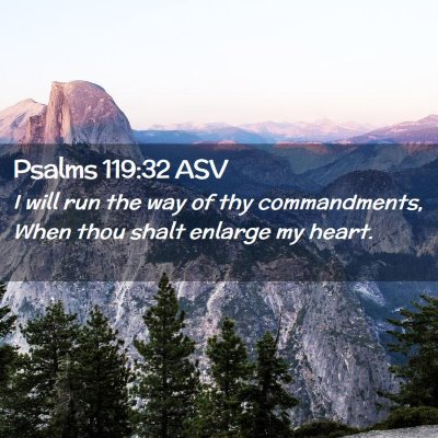 Picture 02 - Psalms 119:32 ASV - I will run the way of thy commandments, When thou - Bible Verse Picture
