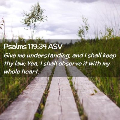 Picture 02 - Psalms 119:34 ASV - Give me understanding, and I shall keep thy law; - Bible Verse Picture