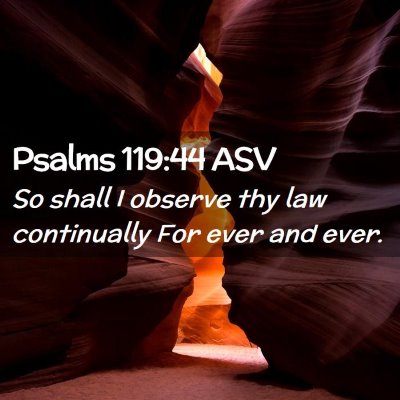Picture 02 - Psalms 119:44 ASV - So shall I observe thy law continually For ever - Bible Verse Picture