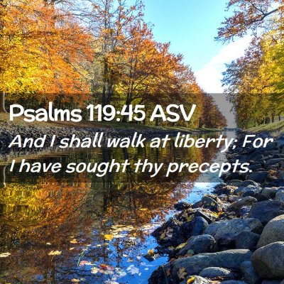 Picture 02 - Psalms 119:45 ASV - And I shall walk at liberty; For I have sought - Bible Verse Picture