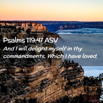 Picture 02 - Psalms 119:47 ASV - And I will delight myself in thy commandments, - Bible Verse Picture