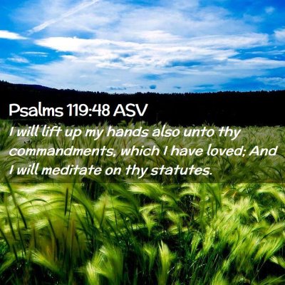 Picture 02 - Psalms 119:48 ASV - I will lift up my hands also unto thy - Bible Verse Picture