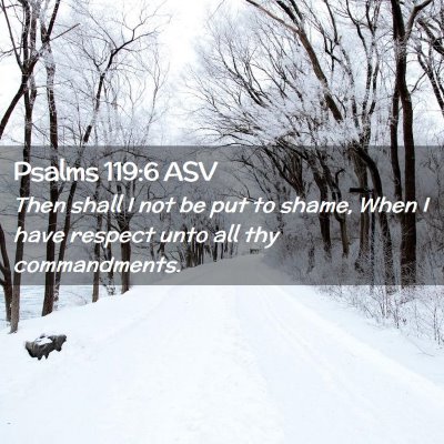 Picture 02 - Psalms 119:6 ASV - Then shall I not be put to shame, When I have - Bible Verse Picture