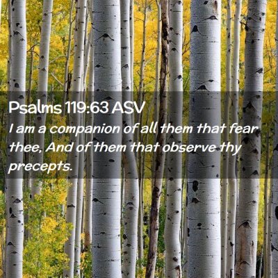 Picture 02 - Psalms 119:63 ASV - I am a companion of all them that fear thee, And - Bible Verse Picture