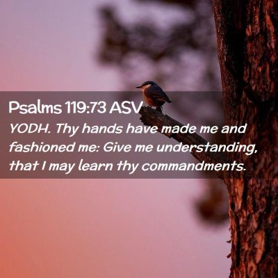 Picture 02 - Psalms 119:73 ASV - YODH. Thy hands have made me and fashioned me: - Bible Verse Picture