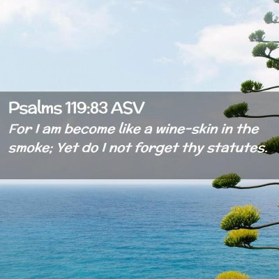 Picture 02 - Psalms 119:83 ASV - For I am become like a wine-skin in the smoke; - Bible Verse Picture