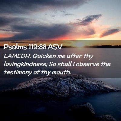 Picture 02 - Psalms 119:88 ASV - LAMEDH. Quicken me after thy lovingkindness; So - Bible Verse Picture