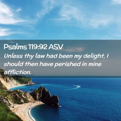 Picture 02 - Psalms 119:92 ASV - Unless thy law had been my delight, I should then - Bible Verse Picture