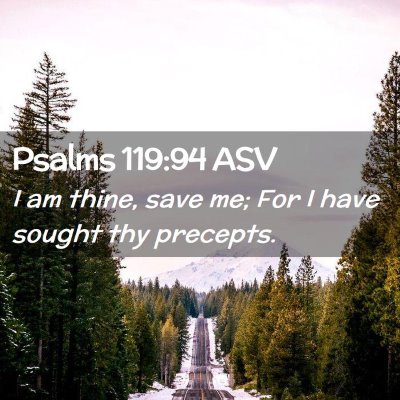 Picture 02 - Psalms 119:94 ASV - I am thine, save me; For I have sought thy - Bible Verse Picture