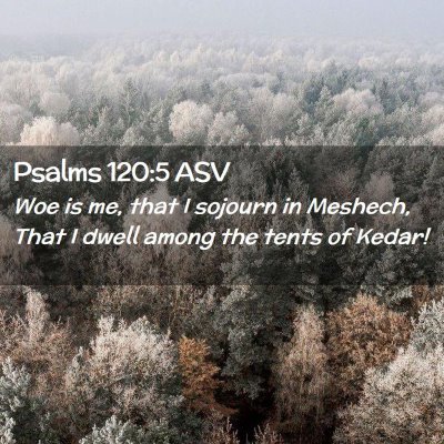 Picture 02 - Psalms 120:5 ASV - Woe is me, that I sojourn in Meshech, That I - Bible Verse Picture
