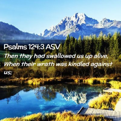 Picture 02 - Psalms 124:3 ASV - Then they had swallowed us up alive, When their - Bible Verse Picture