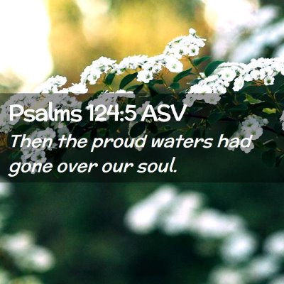 Picture 02 - Psalms 124:5 ASV - Then the proud waters had gone over our - Bible Verse Picture