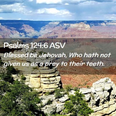 Picture 02 - Psalms 124:6 ASV - Blessed be Jehovah, Who hath not given us as a - Bible Verse Picture