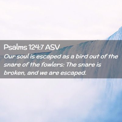 Picture 02 - Psalms 124:7 ASV - Our soul is escaped as a bird out of the snare of - Bible Verse Picture