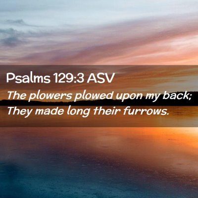 Picture 02 - Psalms 129:3 ASV - The plowers plowed upon my back; They made long - Bible Verse Picture