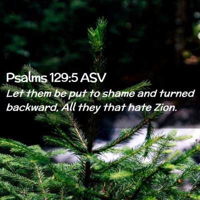 Picture 02 - Psalms 129:5 ASV - Let them be put to shame and turned backward, All - Bible Verse Picture