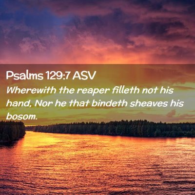 Picture 02 - Psalms 129:7 ASV - Wherewith the reaper filleth not his hand, Nor he - Bible Verse Picture