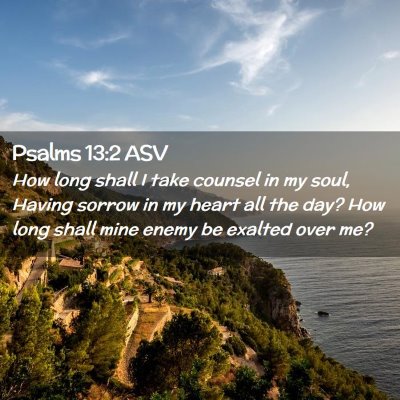 Picture 02 - Psalms 13:2 ASV - How long shall I take counsel in my soul, Having - Bible Verse Picture