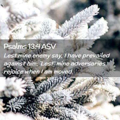 Picture 02 - Psalms 13:4 ASV - Lest mine enemy say, I have prevailed against - Bible Verse Picture
