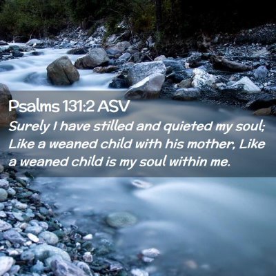 Picture 02 - Psalms 131:2 ASV - Surely I have stilled and quieted my soul; Like a - Bible Verse Picture