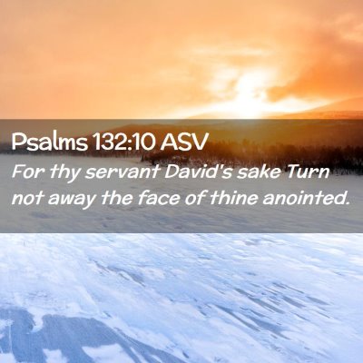 Picture 02 - Psalms 132:10 ASV - For thy servant David's sake Turn not away the - Bible Verse Picture