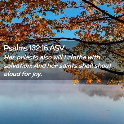 Picture 02 - Psalms 132:16 ASV - Her priests also will I clothe with salvation; - Bible Verse Picture