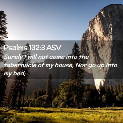 Picture 02 - Psalms 132:3 ASV - Surely I will not come into the tabernacle of my - Bible Verse Picture
