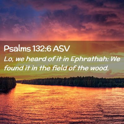 Picture 02 - Psalms 132:6 ASV - Lo, we heard of it in Ephrathah: We found it in - Bible Verse Picture