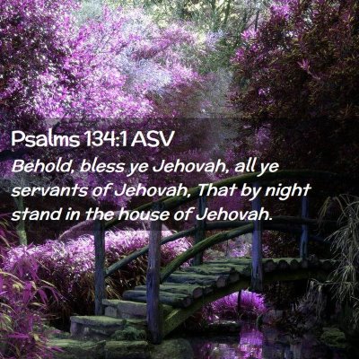 Picture 02 - Psalms 134:1 ASV - Behold, bless ye Jehovah, all ye servants of - Bible Verse Picture