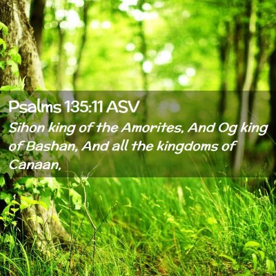 Picture 02 - Psalms 135:11 ASV - Sihon king of the Amorites, And Og king of - Bible Verse Picture