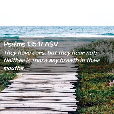 Picture 02 - Psalms 135:17 ASV - They have ears, but they hear not; Neither is - Bible Verse Picture