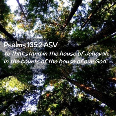 Picture 02 - Psalms 135:2 ASV - Ye that stand in the house of Jehovah, In the - Bible Verse Picture