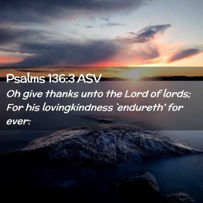 Picture 02 - Psalms 136:3 ASV - Oh give thanks unto the Lord of lords; For his - Bible Verse Picture