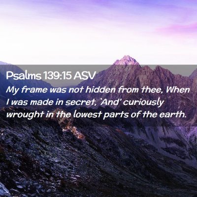 Picture 02 - Psalms 139:15 ASV - My frame was not hidden from thee, When I was - Bible Verse Picture