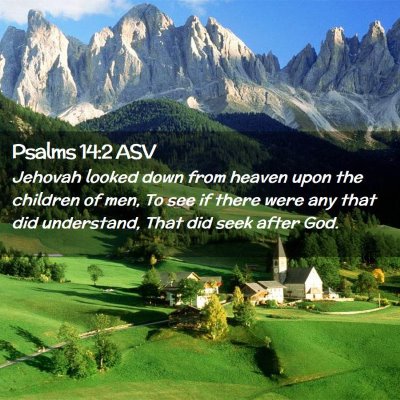 Picture 02 - Psalms 14:2 ASV - Jehovah looked down from heaven upon the children - Bible Verse Picture