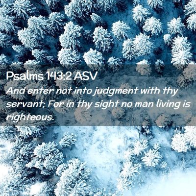 Picture 02 - Psalms 143:2 ASV - And enter not into judgment with thy servant; For - Bible Verse Picture